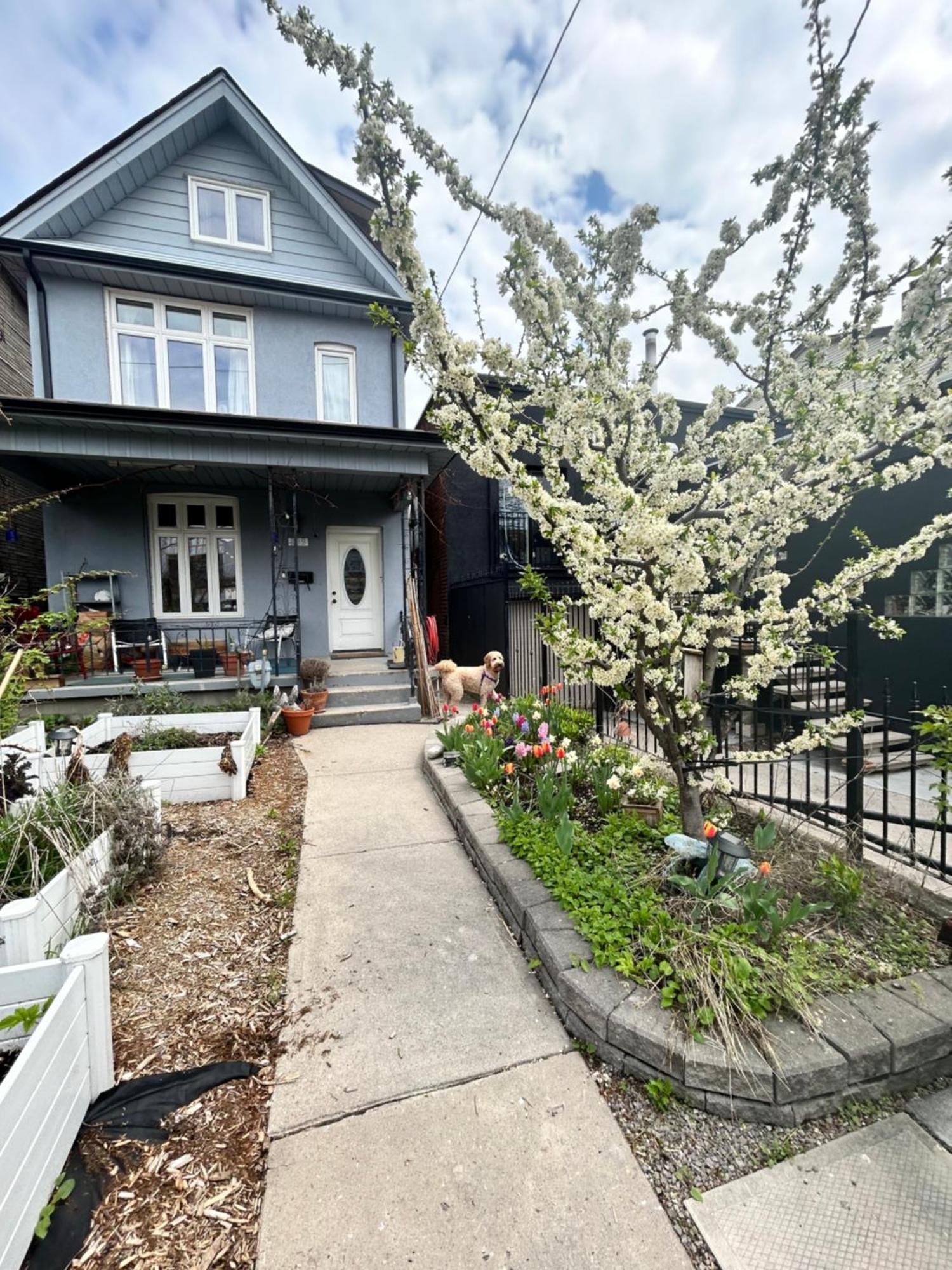 Garden Oasis Villa Торонто Екстериор снимка